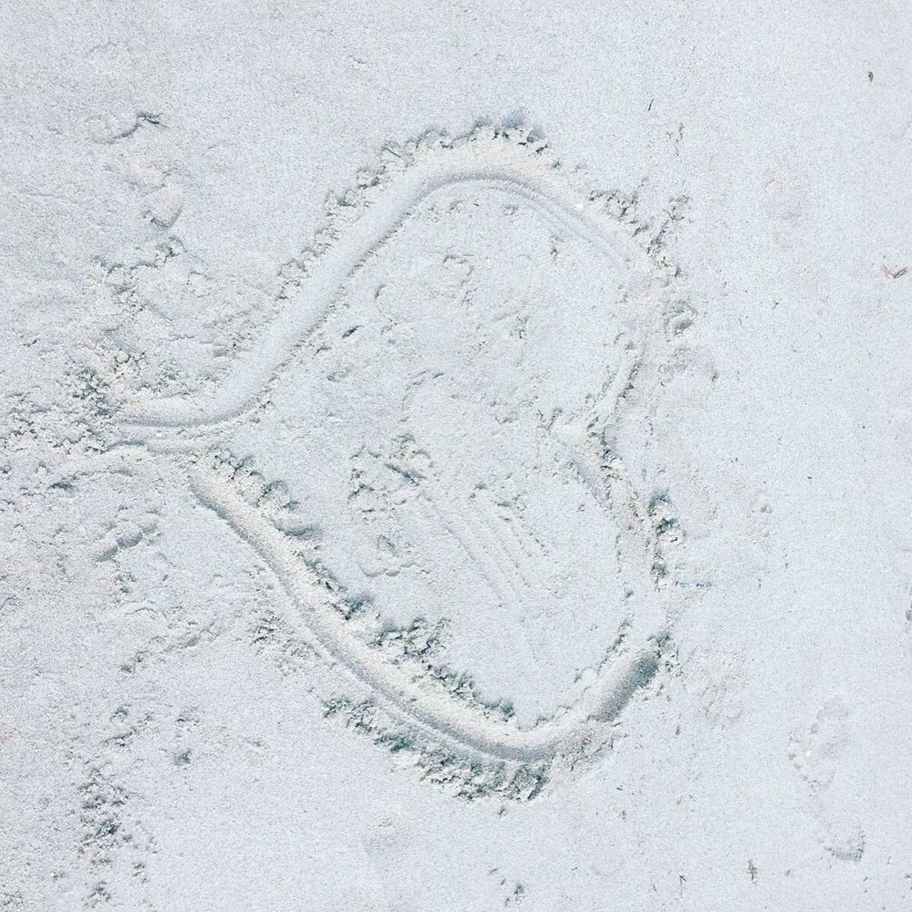 Meet your Posher, Sofia